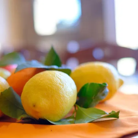 빌라 Caruso Private Heated Pool & Sea View